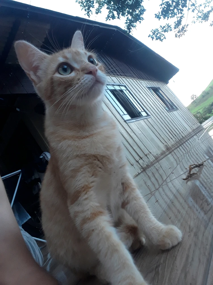 GIF enviado por Mauricio