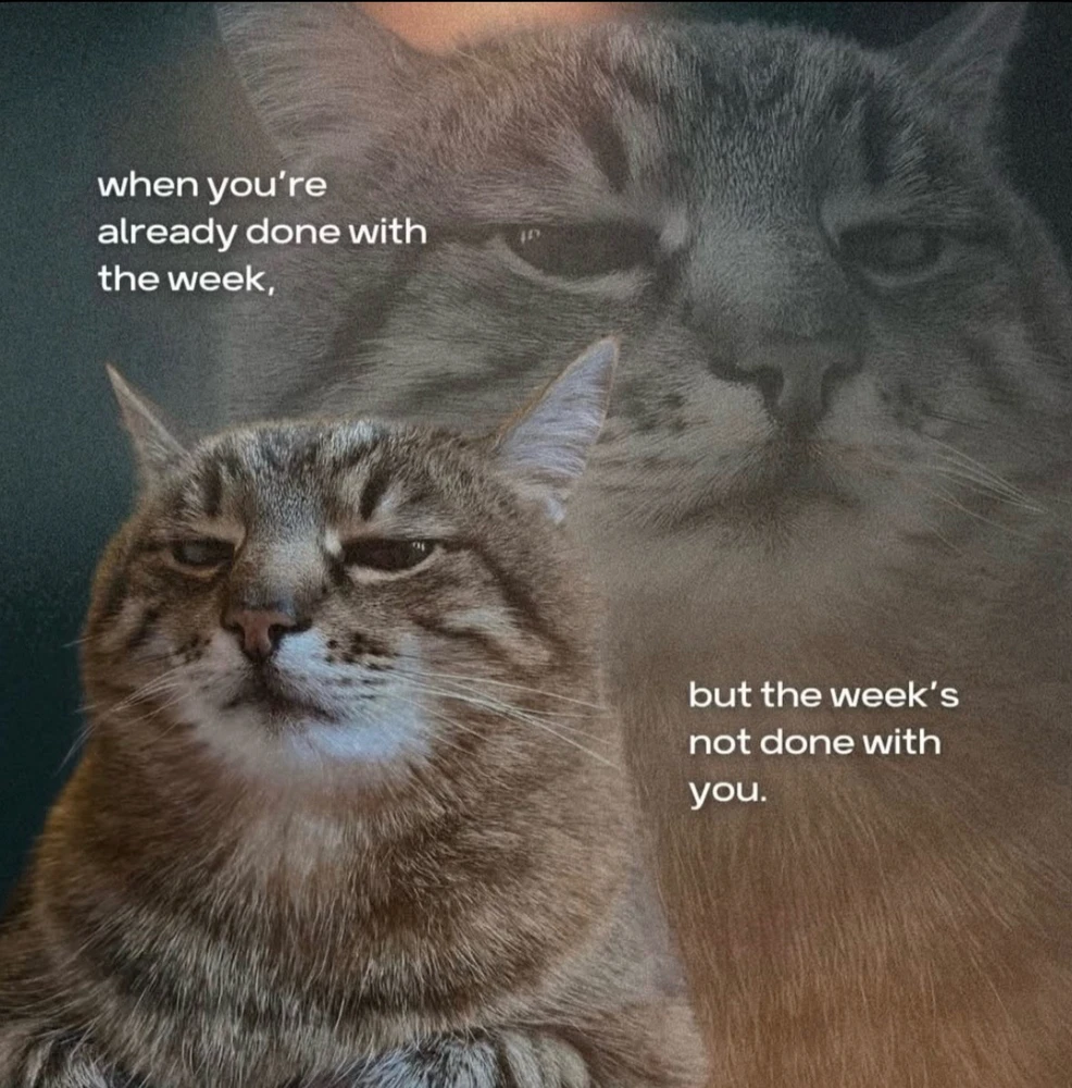 Obrázek nahrál Irónia