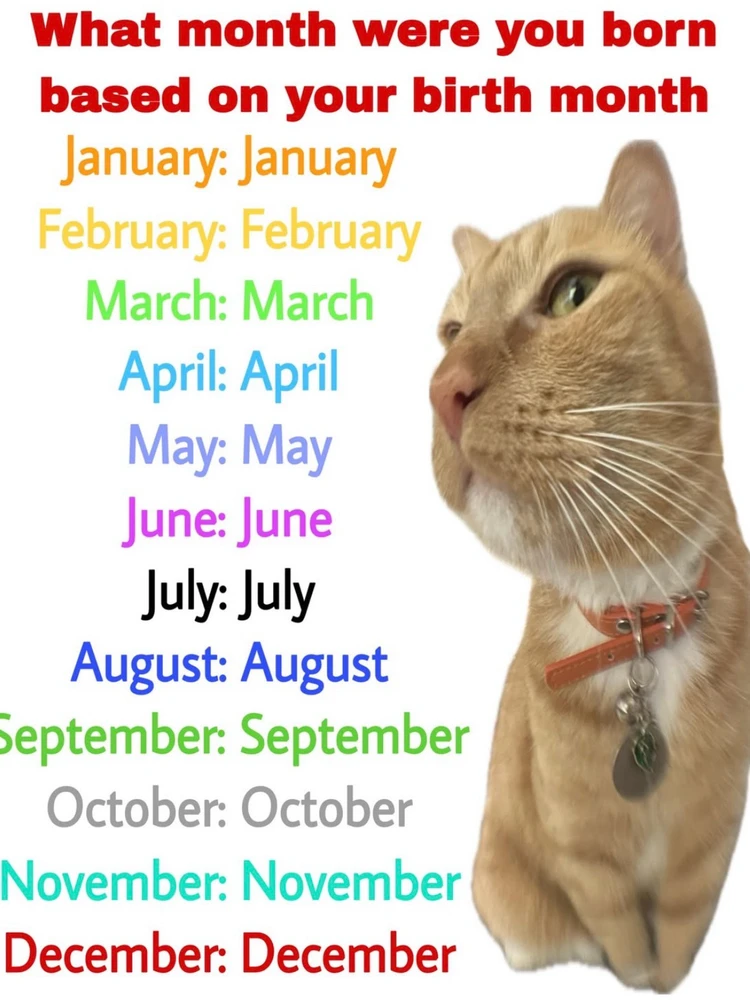 Obrázek nahrál Irónia