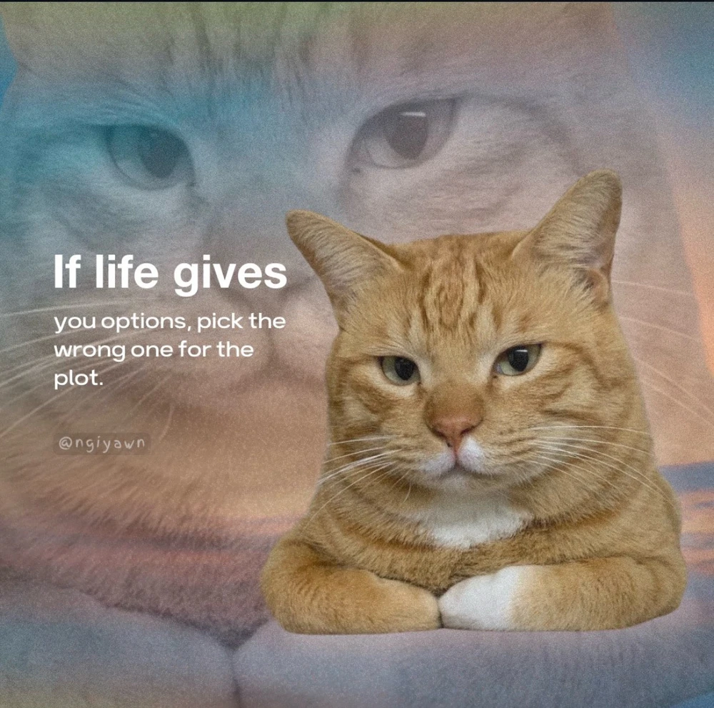 Obrázek nahrál Irónia