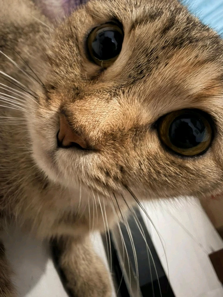 GIF uploaded by 𝓢𝓮𝓻𝓮𝓷 • 𝓢𝓮𝓻𝓮𝓷𝓭𝓲𝓹𝓲𝓽𝔂