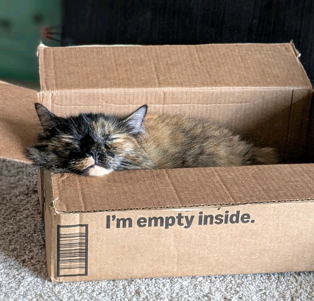 GIF uploaded by Keith