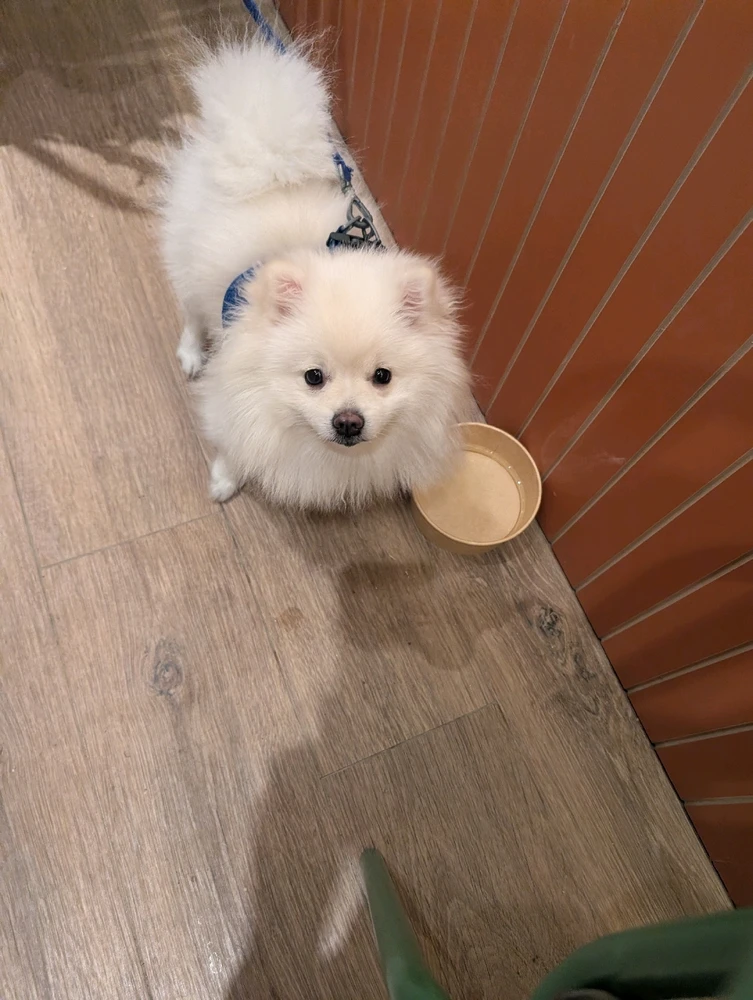 Image uploaded by Manaan