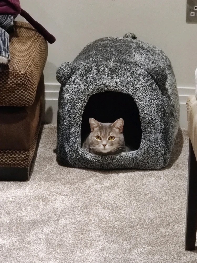 GIF uploaded by Manaan