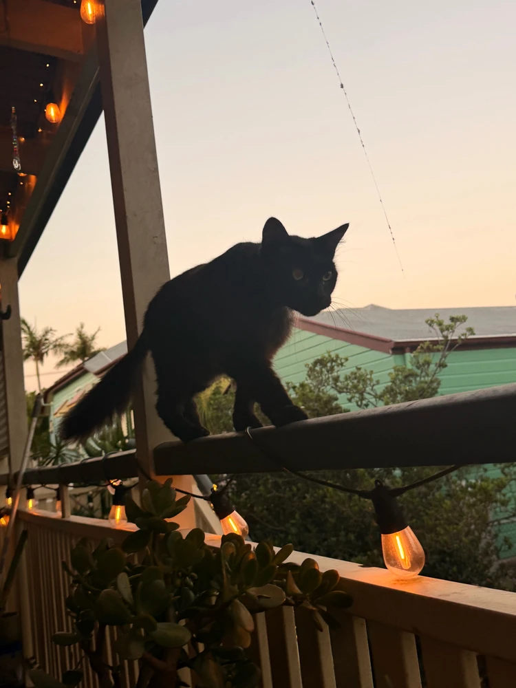 GIF uploaded by Erik