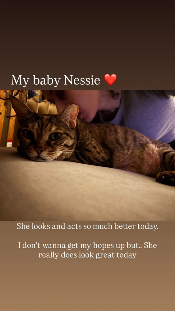 GIF uploaded by Zoey