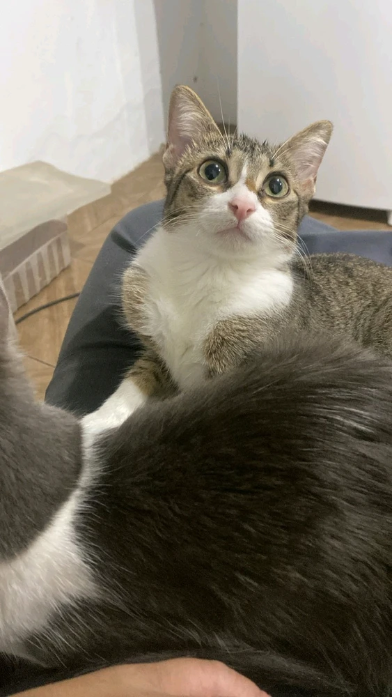 GIF enviado por Matheus