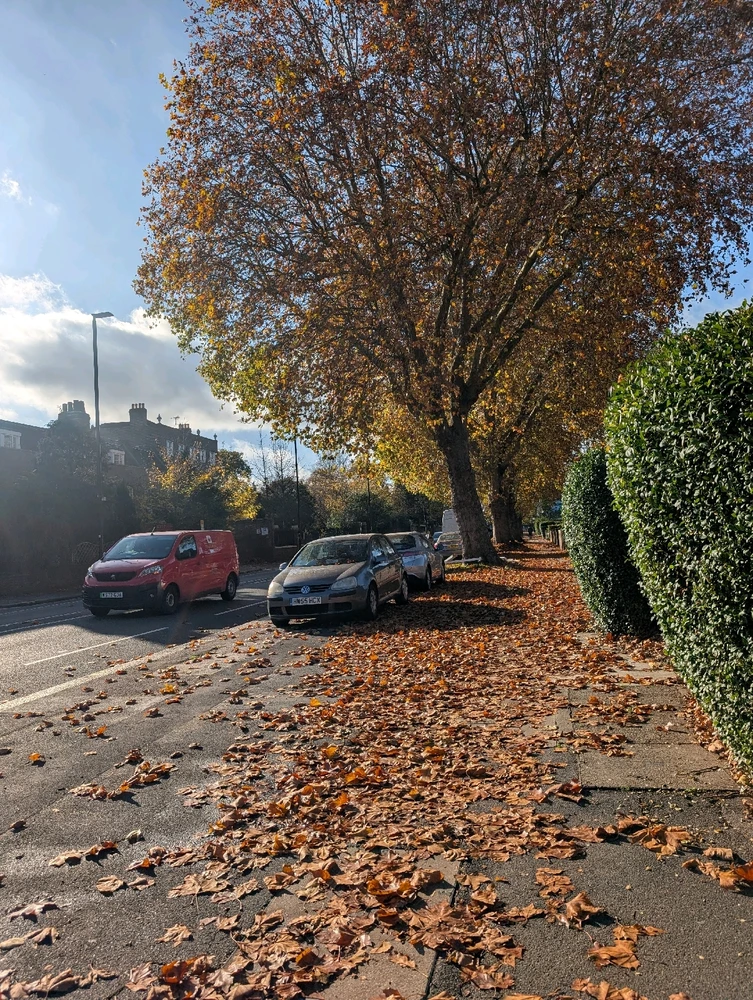 Image uploaded by Manaan