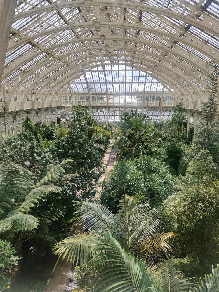 Image uploaded by Manaan