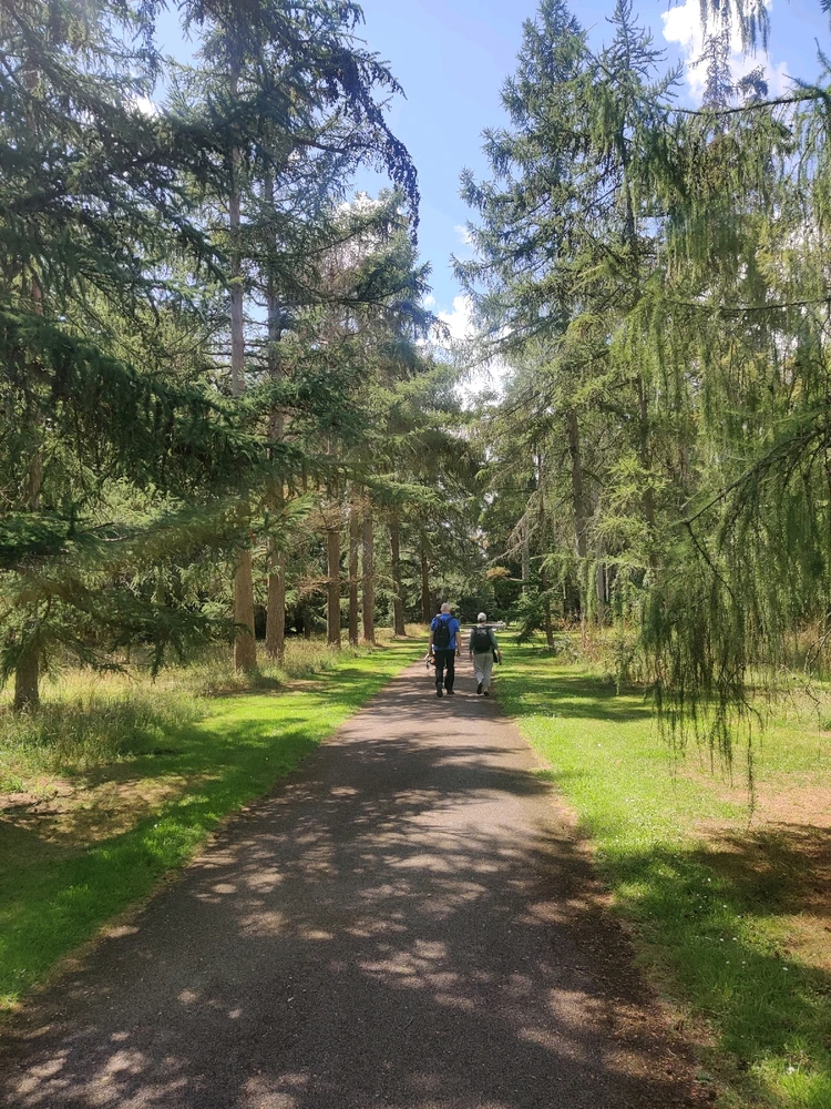 Image uploaded by Manaan