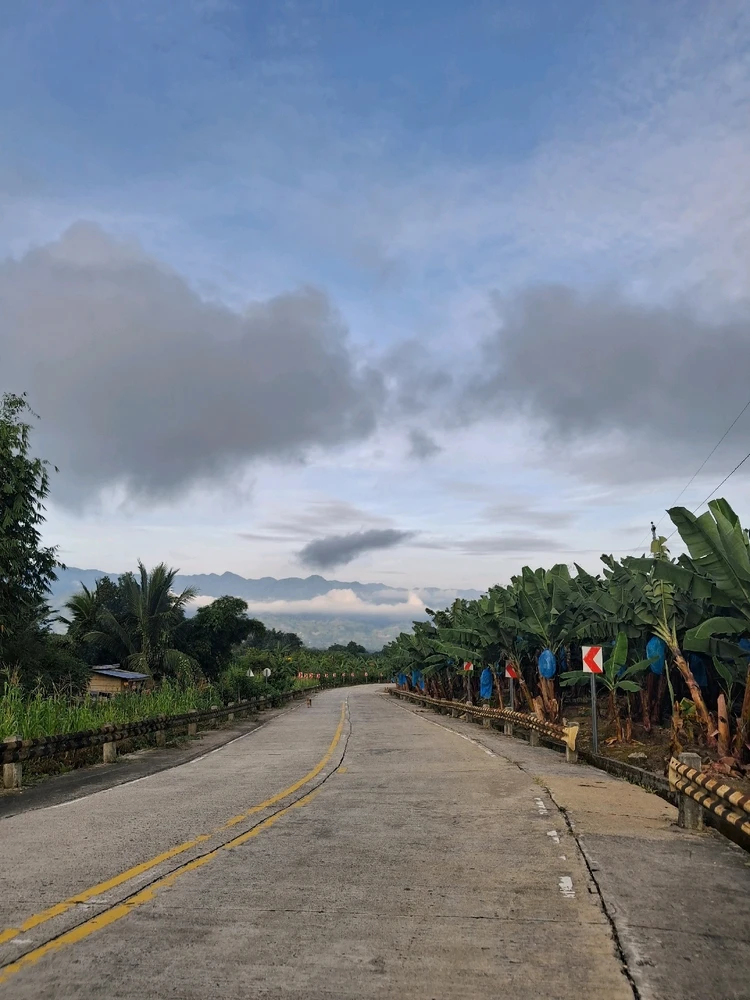 Image uploaded by Rachelle