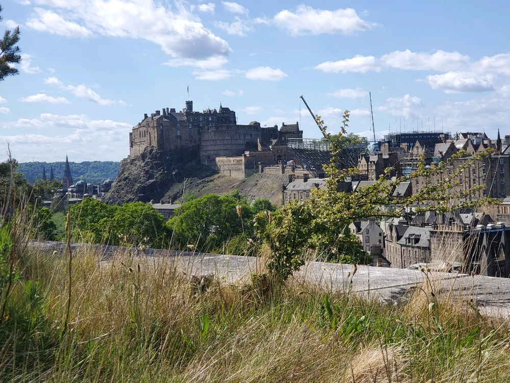 Image uploaded by Olivia