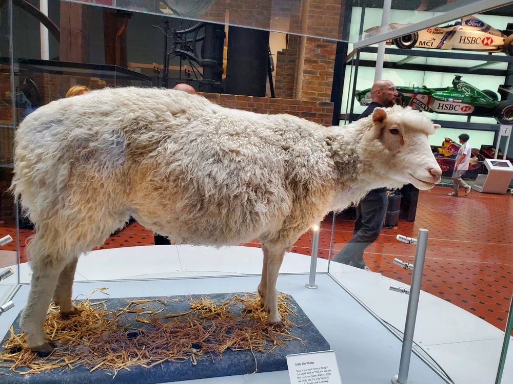 Image uploaded by Olivia