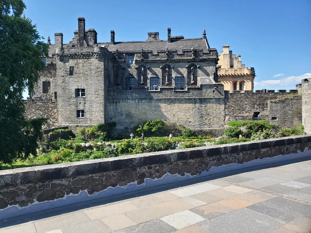 Image uploaded by Olivia