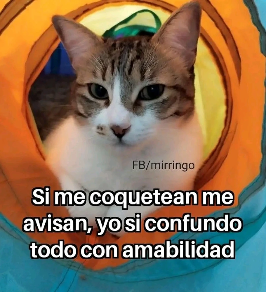 GIF uploaded by Claudia