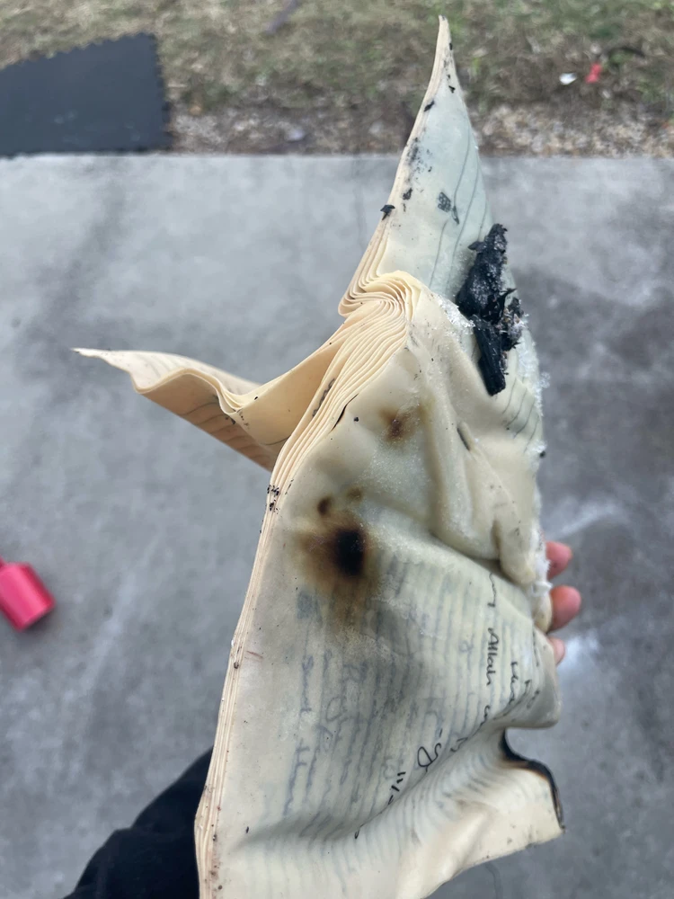 Image uploaded by Genesis