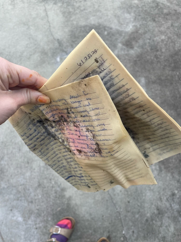 Image uploaded by Genesis