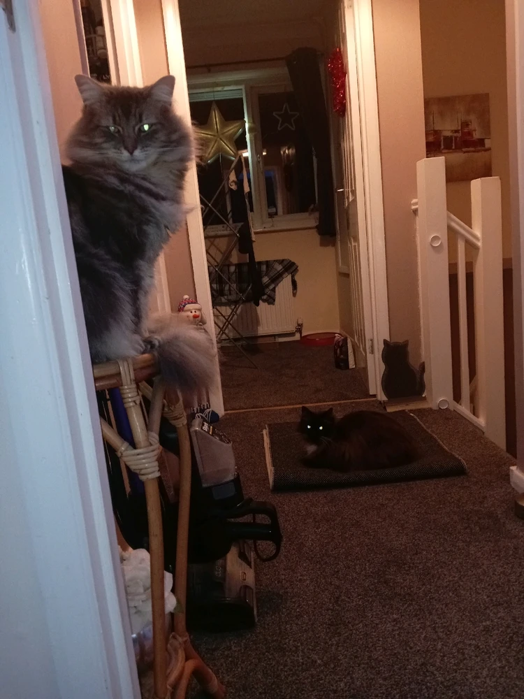 GIF uploaded by Andy