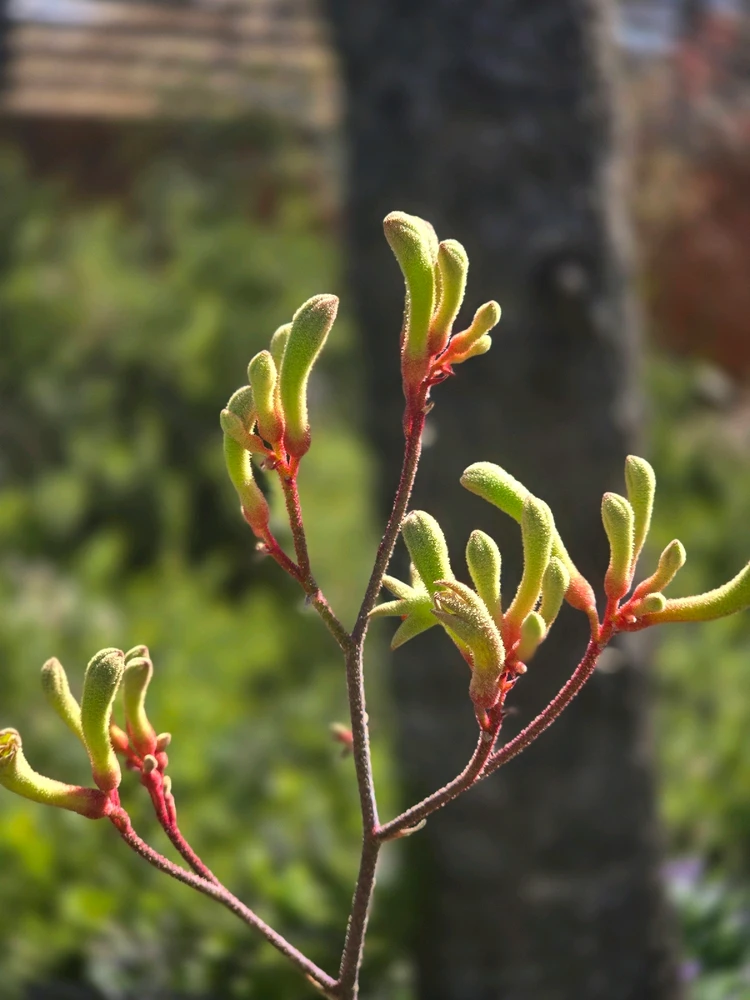 Image uploaded by Danielle