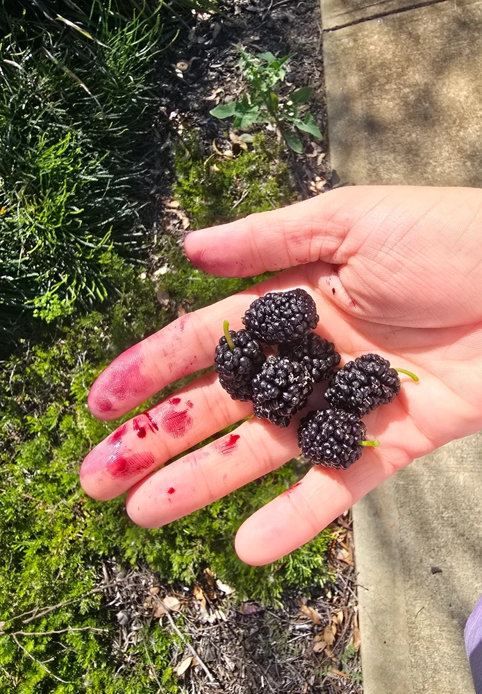 Image uploaded by Danielle