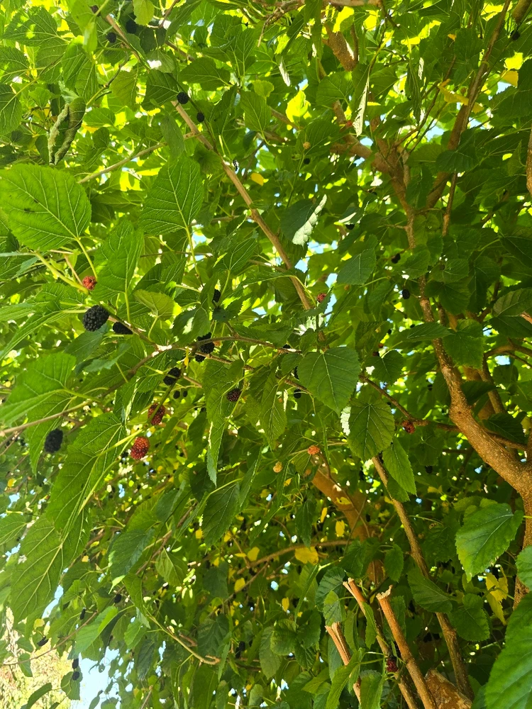 Image uploaded by Danielle