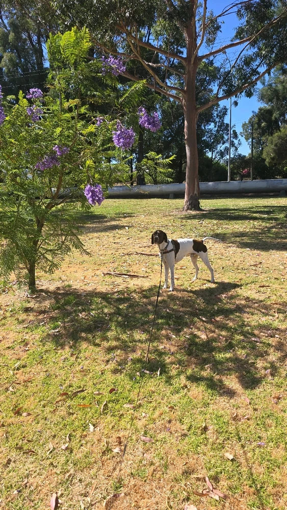 Image uploaded by Danielle