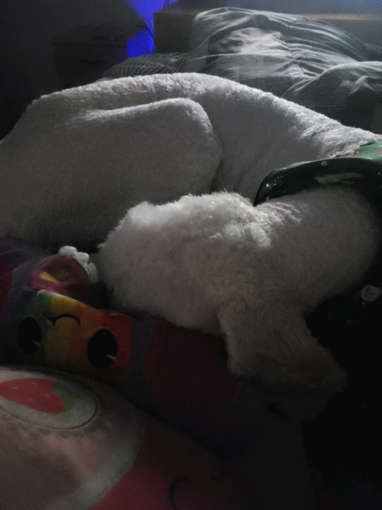 GIF uploaded by Chris