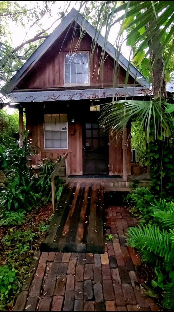 Image uploaded by Amber