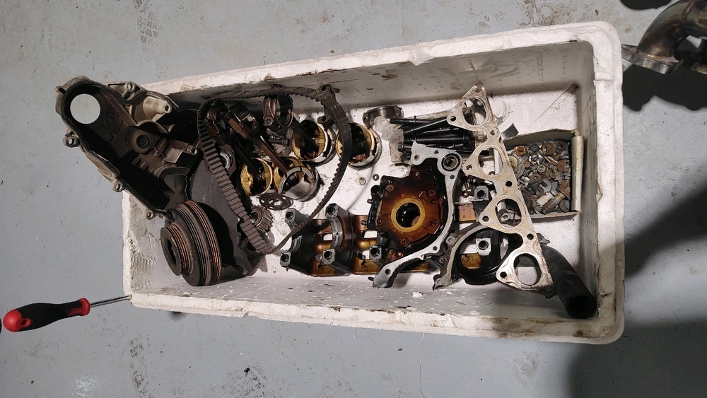 Image uploaded by Ingvar