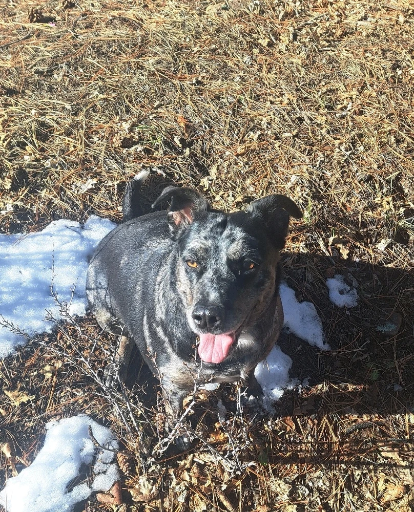 Image uploaded by Nick Zeller