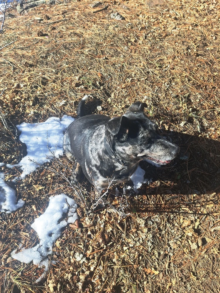 Image uploaded by Nick Zeller