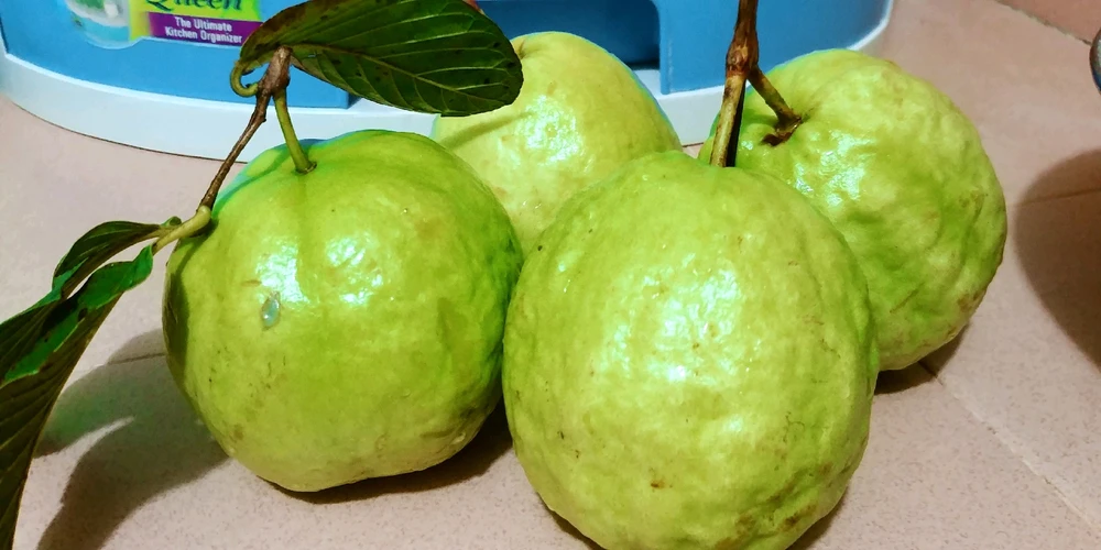 Image uploaded by Jann