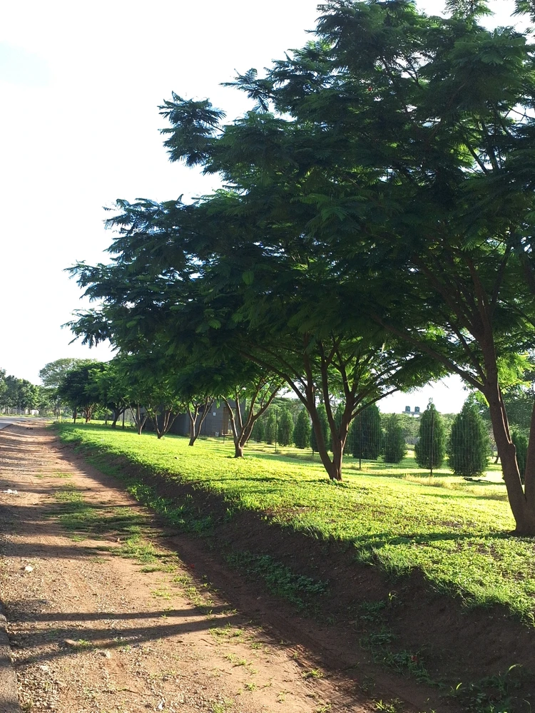 Image uploaded by Kay