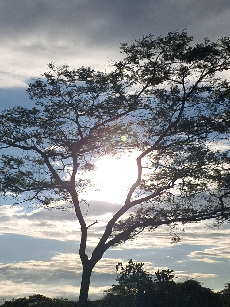 Image uploaded by Kay