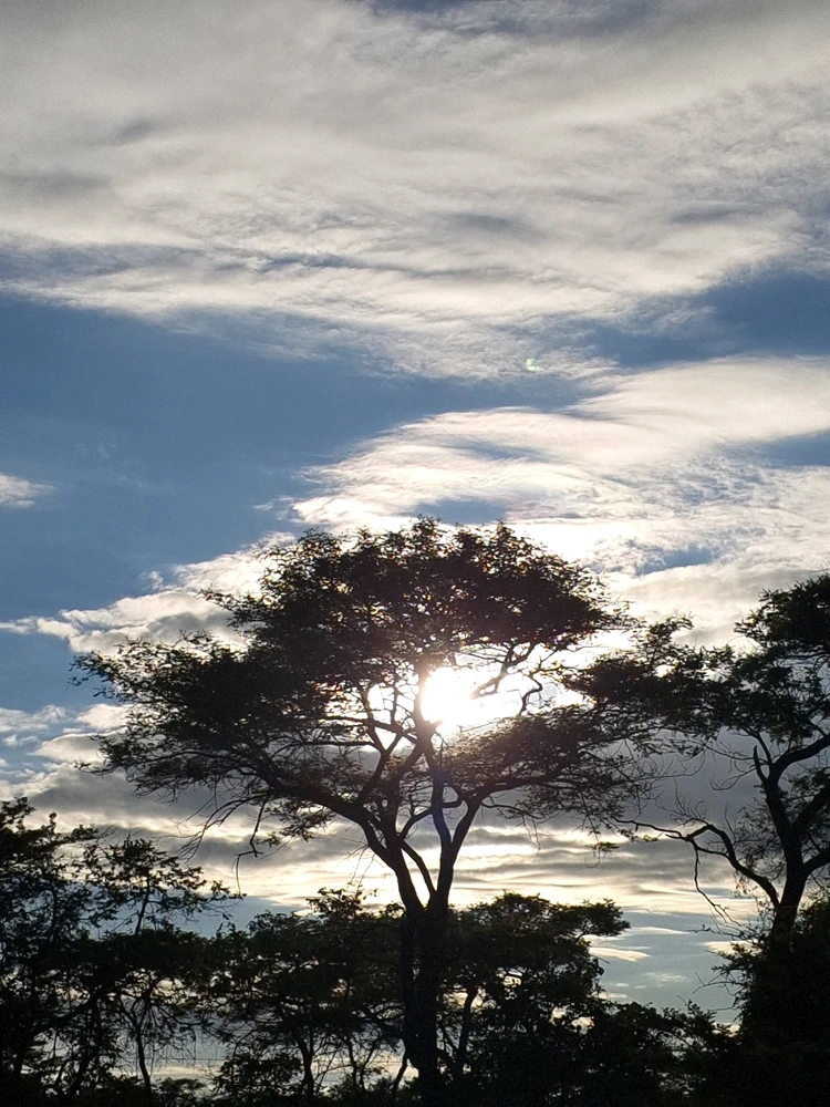 Image uploaded by Kay