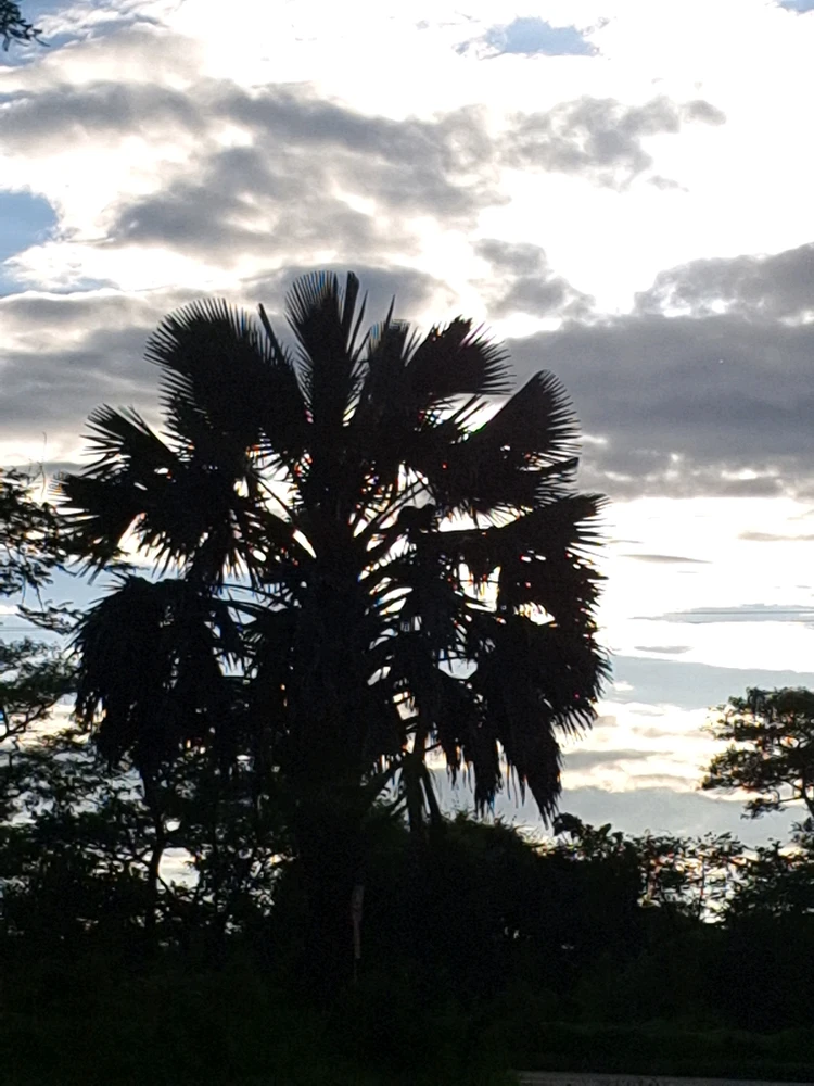 Image uploaded by Kay