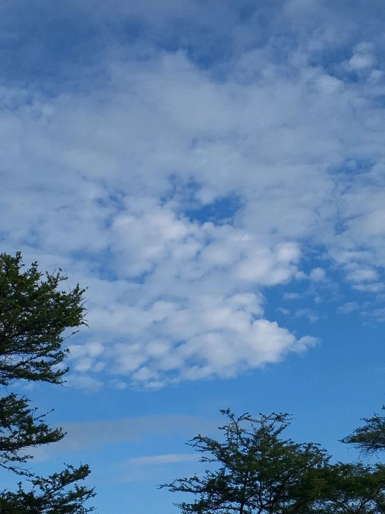 Image uploaded by Kay