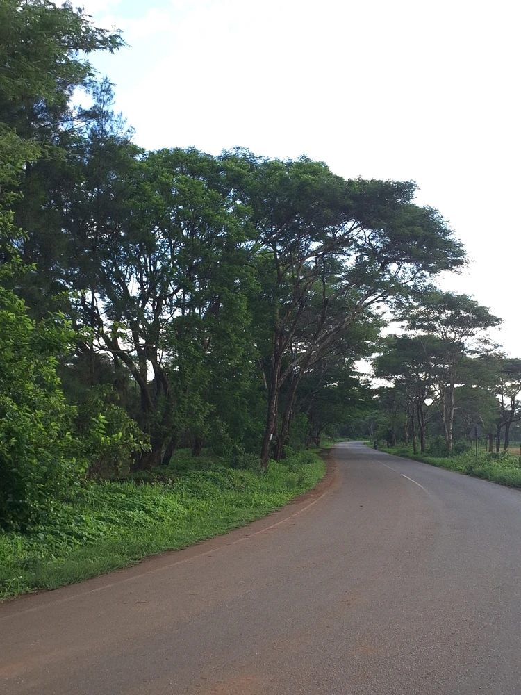 Image uploaded by Kay