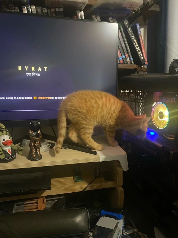 Image uploaded by Barry