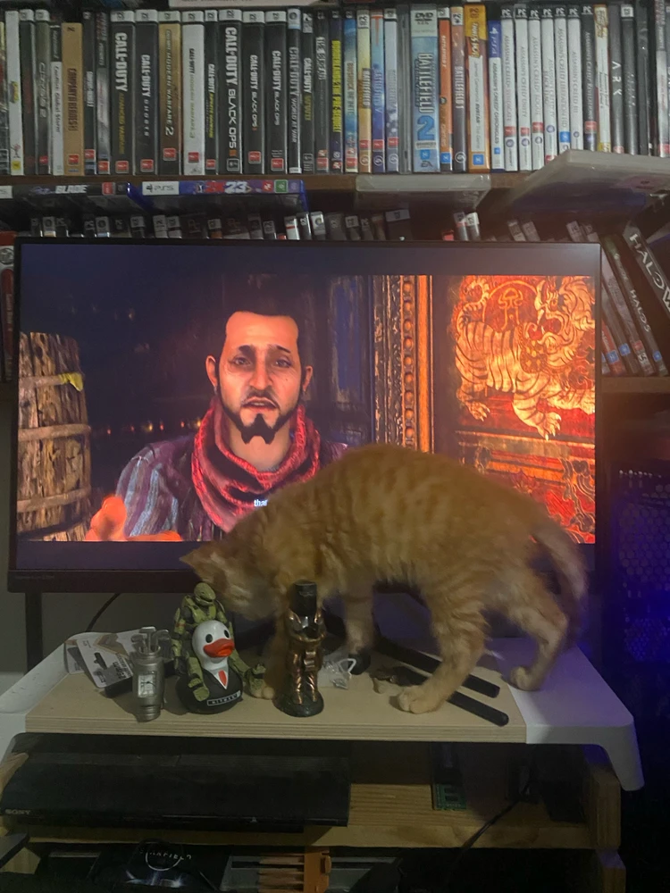 Image uploaded by Barry