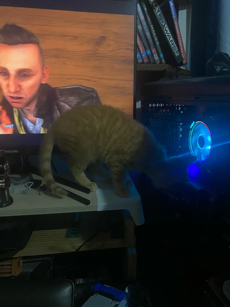 Image uploaded by Barry