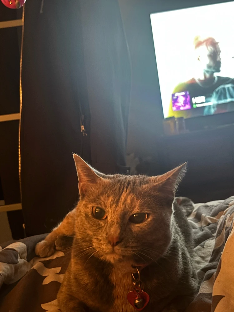 Image uploaded by Jada