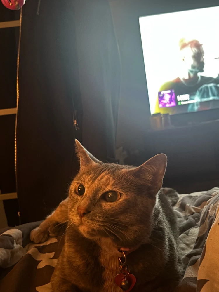 Image uploaded by Jada