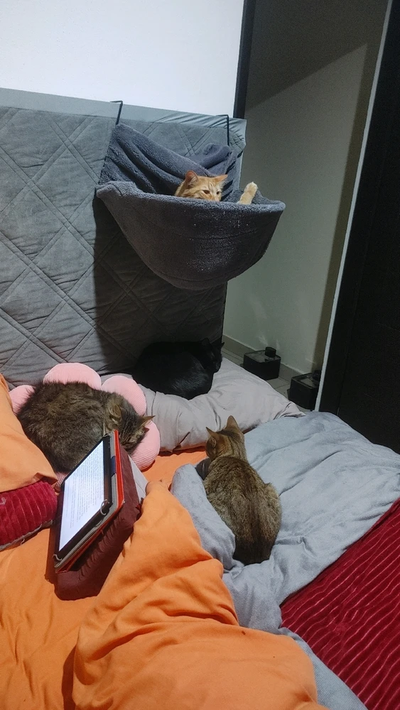 GIF uploaded by ❤ Sophia aka Mango Mami ❤️