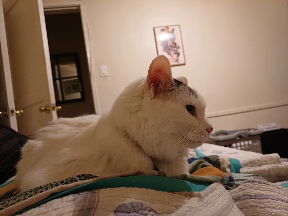 Image uploaded by John