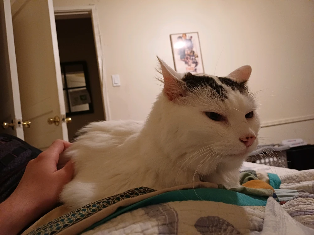 Image uploaded by John