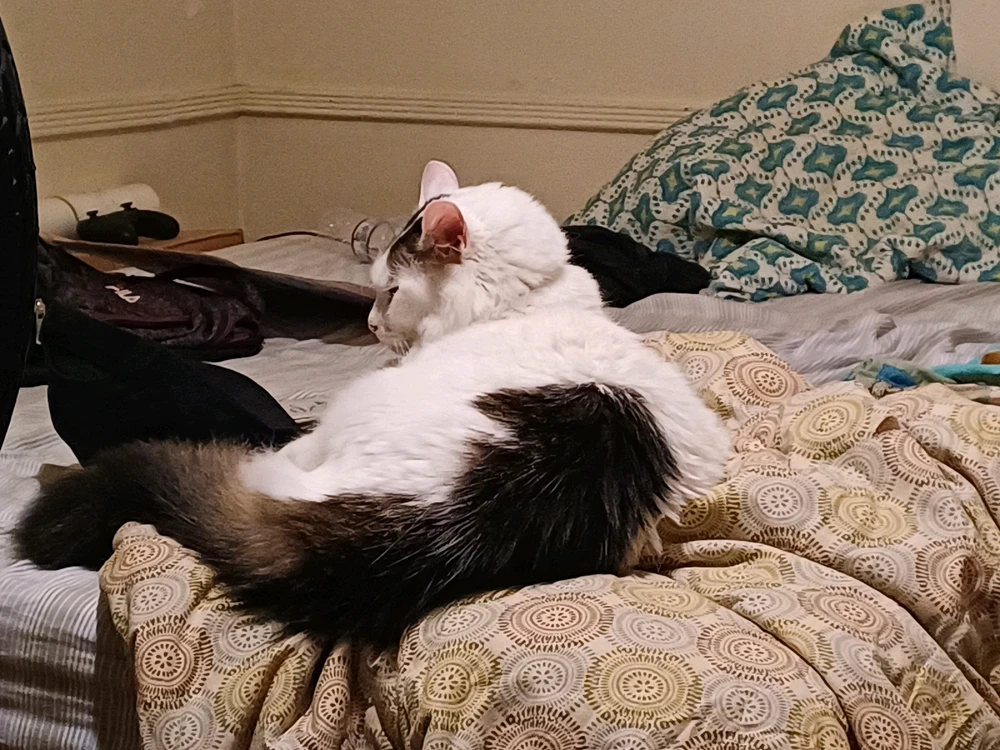 Image uploaded by John