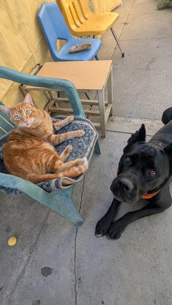 GIF uploaded by Michael