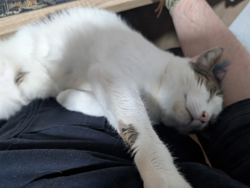 Bild hochgeladen von Steve