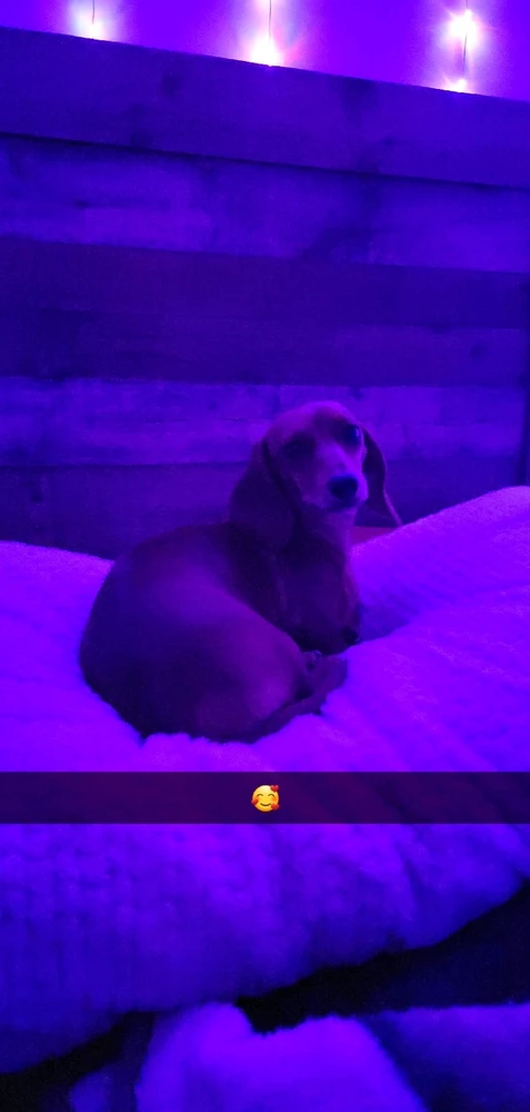 Image uploaded by Jessy